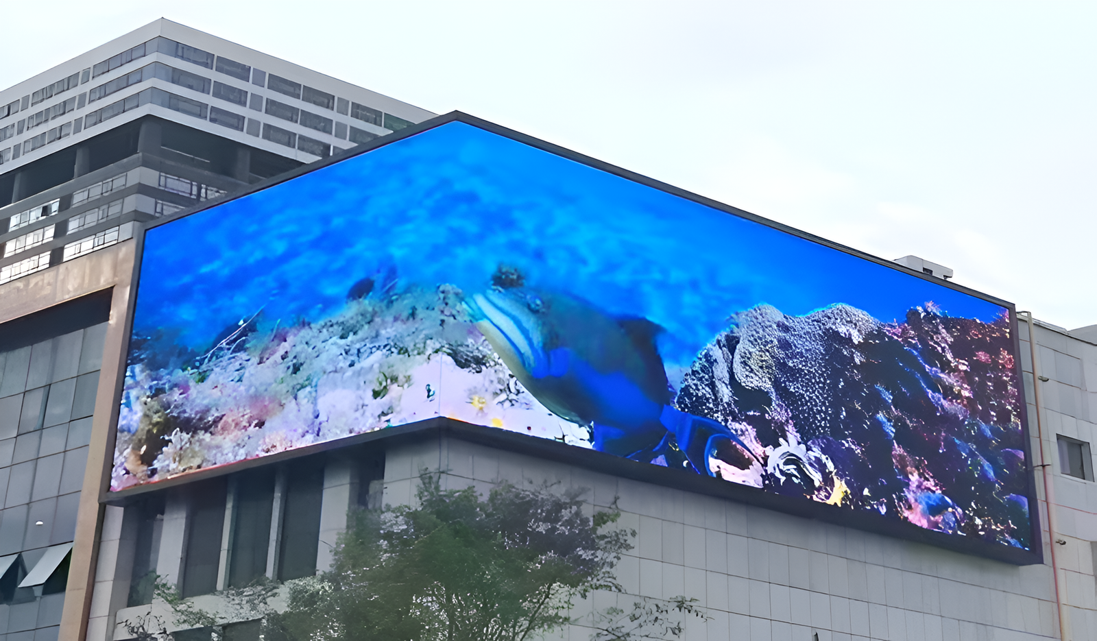 P1.25 Indoor LED Display